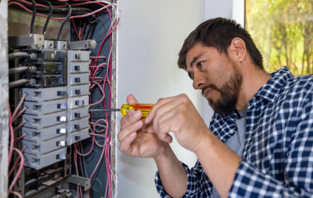 Best Residential Electrician Services  in Mount Zion, IL